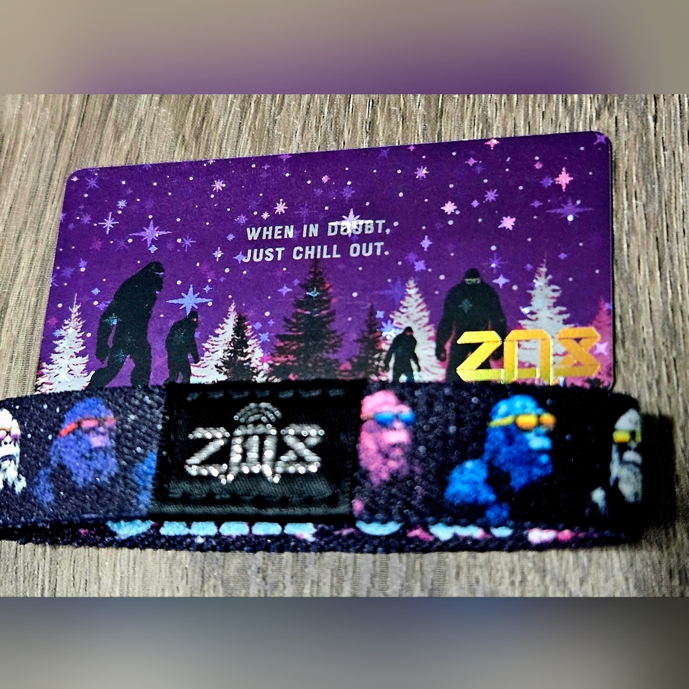 ZOX "CHILL OUT" #X159 HOLOGRAPHIC Winter Wonders RARE INTERACTIVE WRISTBAND - Picture 2 of 12